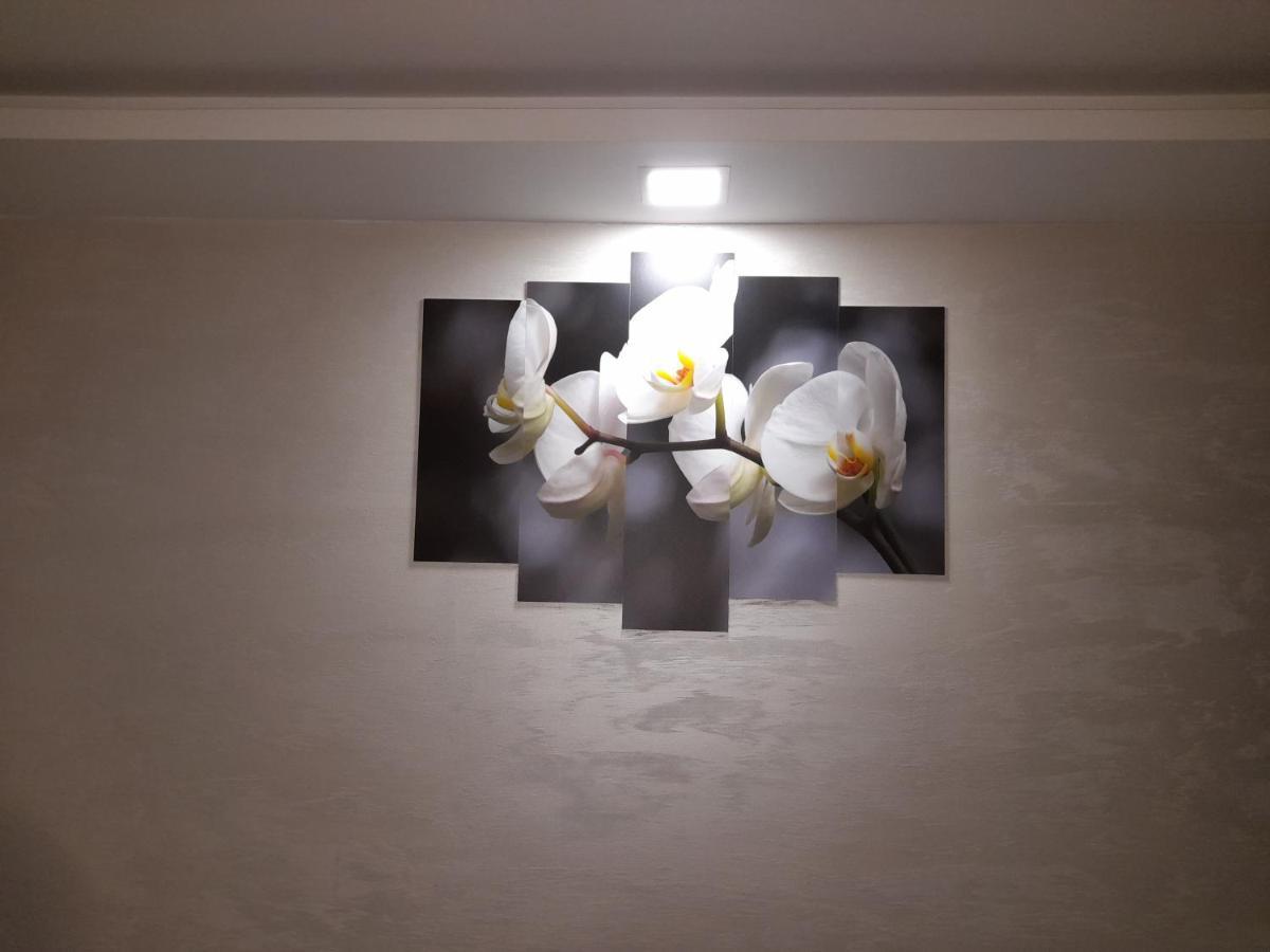 Daca 1 Apartment Белград Екстериор снимка